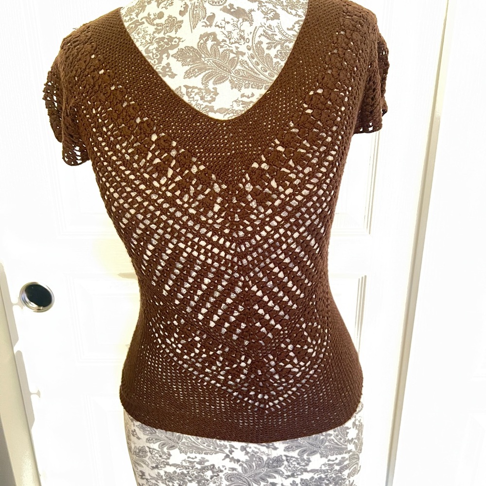 BCBGMaxAzria Brown V-Neck Sweater